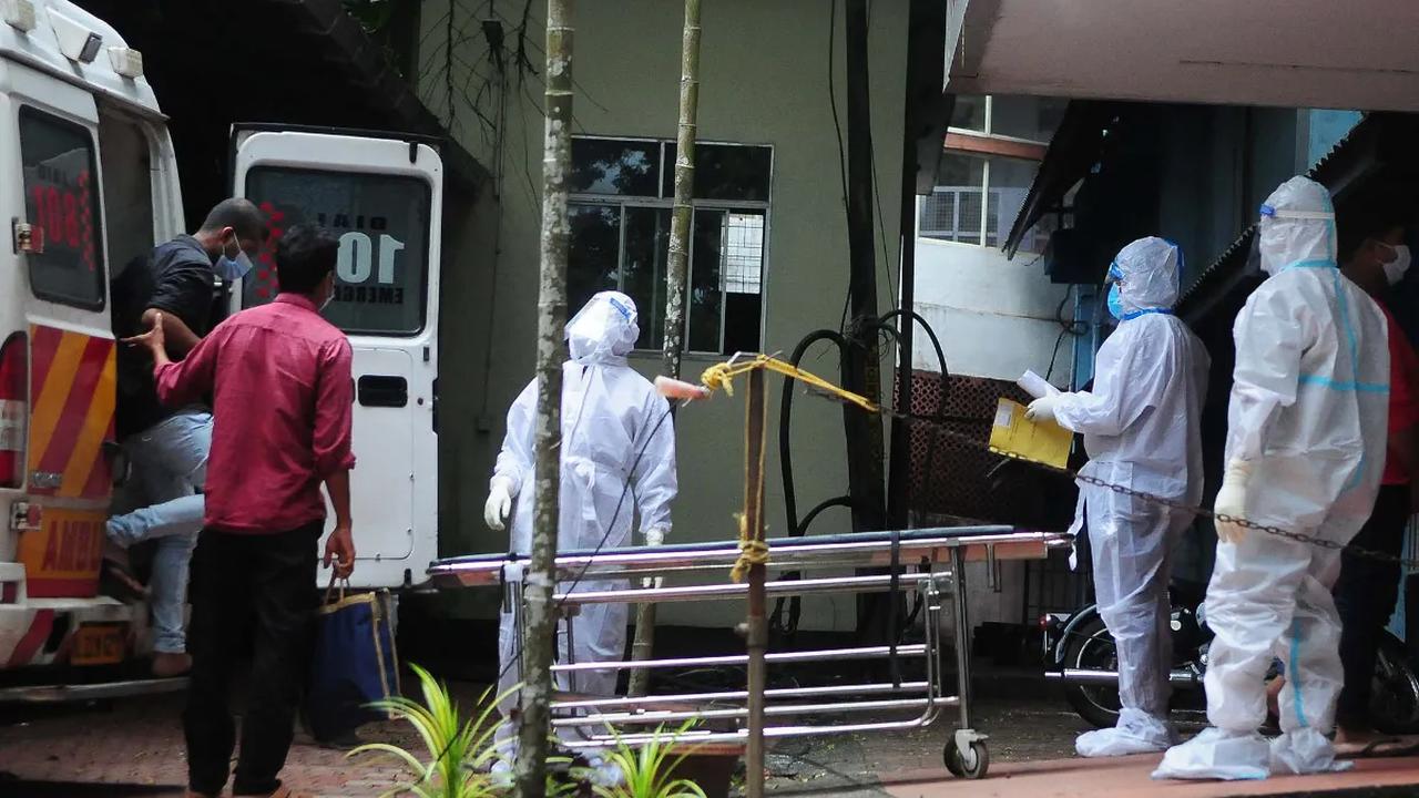 Proses Penularan Virus Nipah<br>