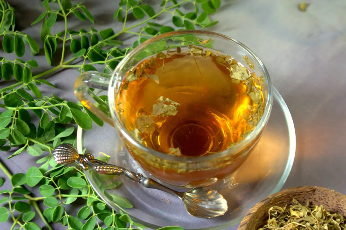 teh herbal daun kelor