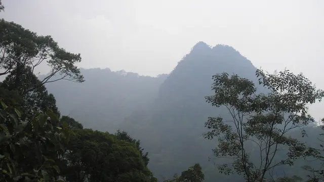 Gunung Halau-halau merupakan puncak tertinggi di Kalimantan Selatan.