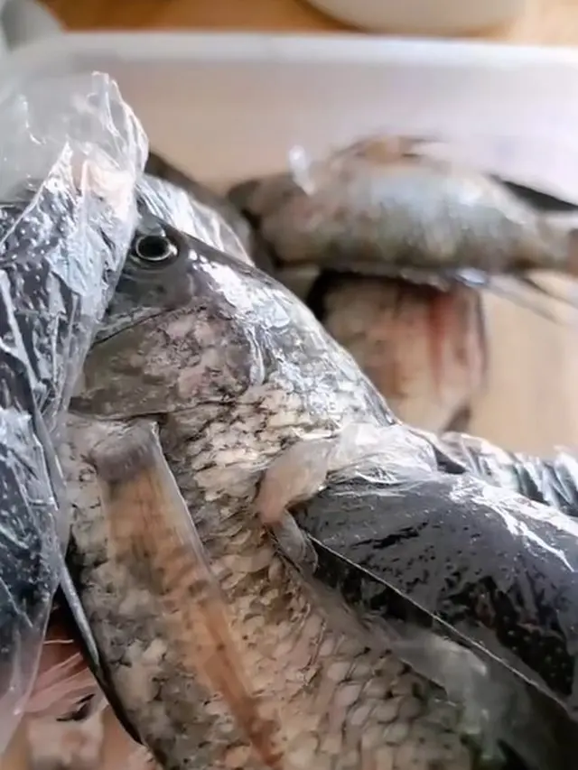 Cara Praktis Pisahkan Sisik Ikan Tanpa Alat Potong, Cuma 5 Menit