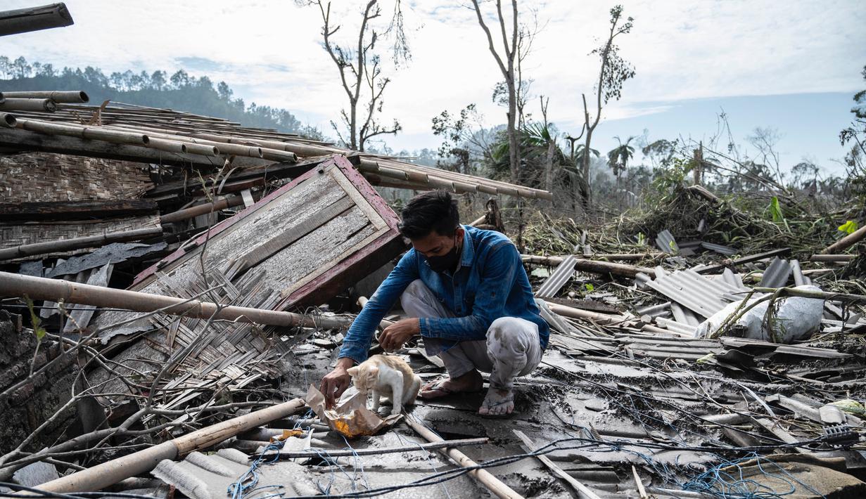 Seorang warga menyelamatkan barang-barang miliknya dari rumahnya yang rusak akibat erupsi Gunung Semeru di desa Curah Kobokan di Lumajang, Jawa Timur, Rabu (8/12/2021). Korban meninggal akibat erupsi Gunung Semeru bertambah menjadi 35 orang hingga Rabu pagi. (Juni Kriswanto / AFP)