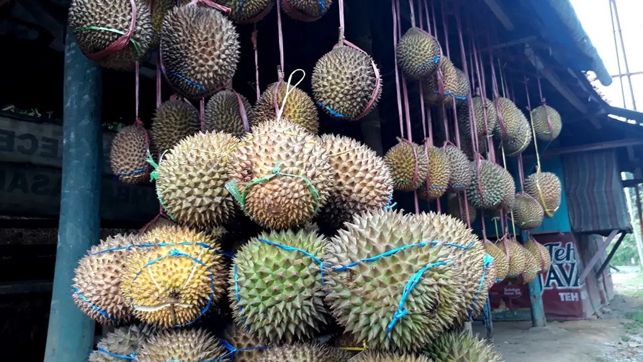 Durian dijajakan di pinggir jalan. (Foto: Liputan6.com/Muhamad Ridlo)