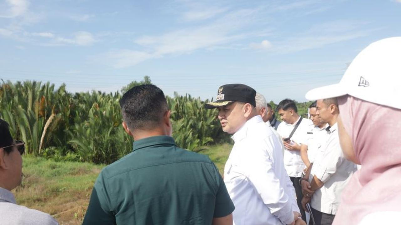 Fakta Unik Jalan Alternatif Makassar: Pemkot dan Kalla Group Bangun Akses Baru Urai Kemacetan