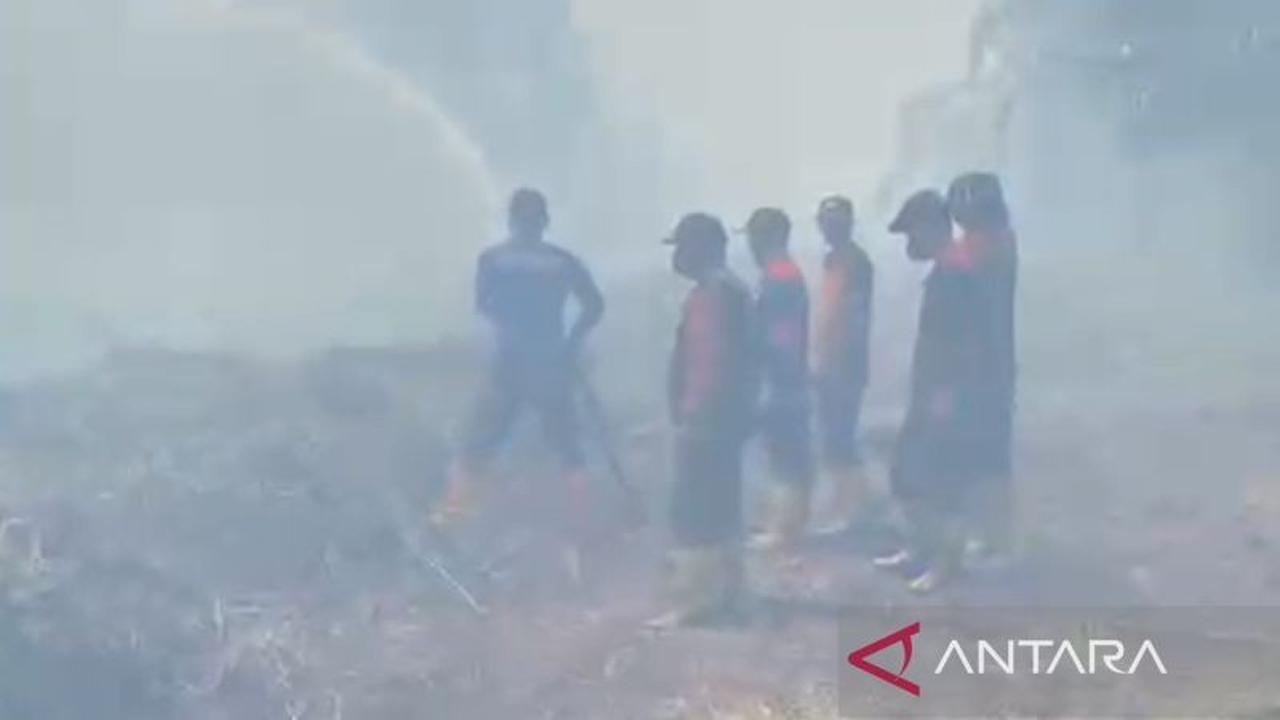 Fakta Mengejutkan! Sebagian Besar Karhutla Aceh Barat Berhasil Dipadamkan, Total 19,8 Hektare Terbakar