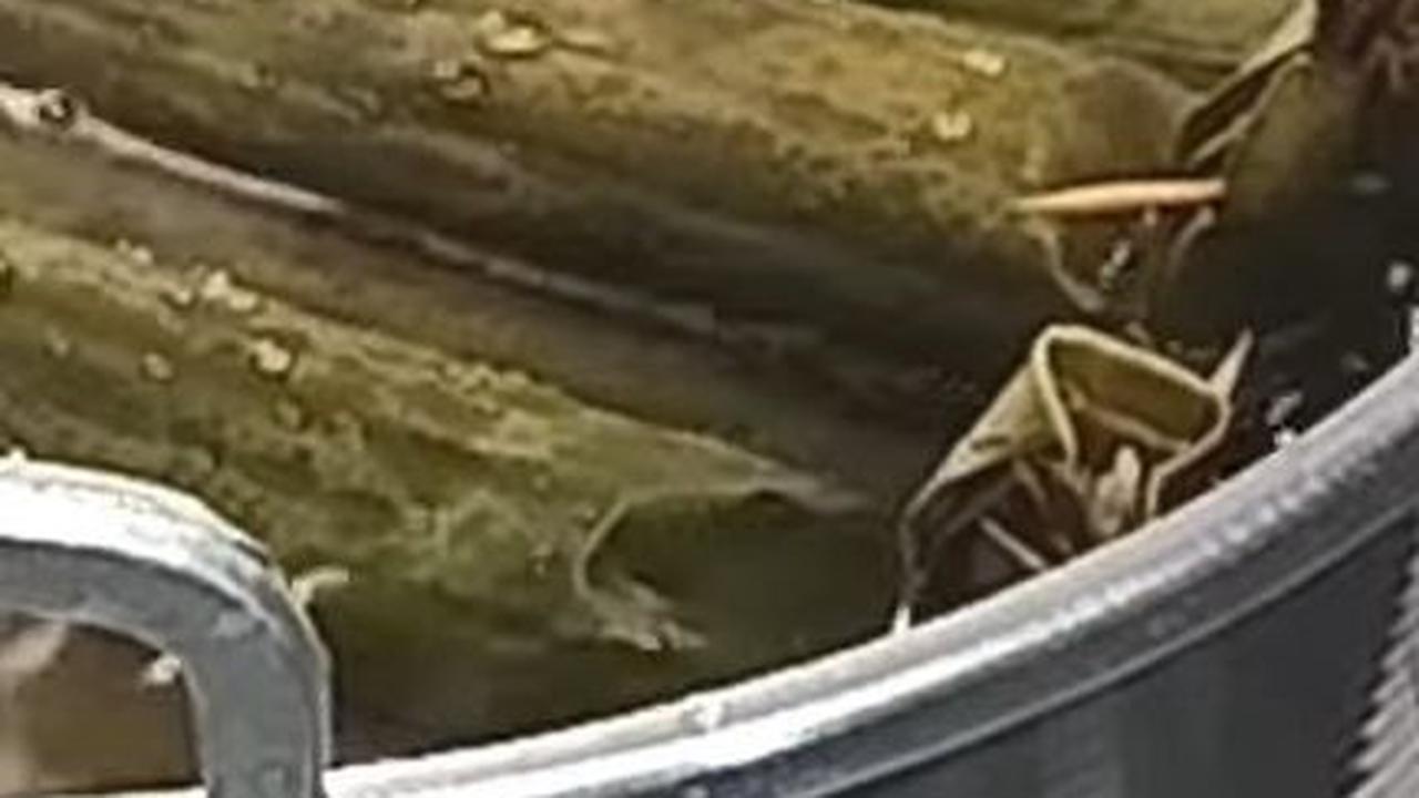 Kukus Lontong Selama 3-4 Jam