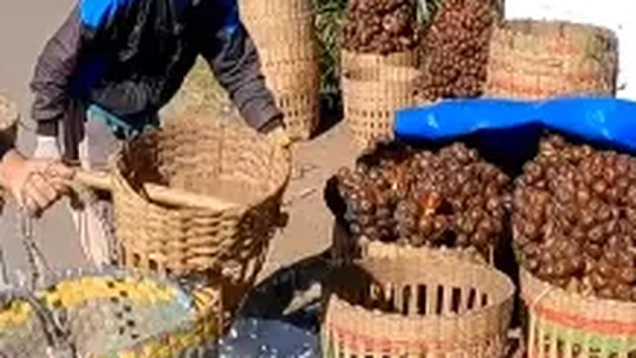 Jangan Dianggap Remeh, Begini Sederet Rumah Mewah Milik Petani Salak di Lereng Gunung
