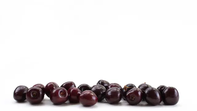 Ceri hitam untuk kesehatan