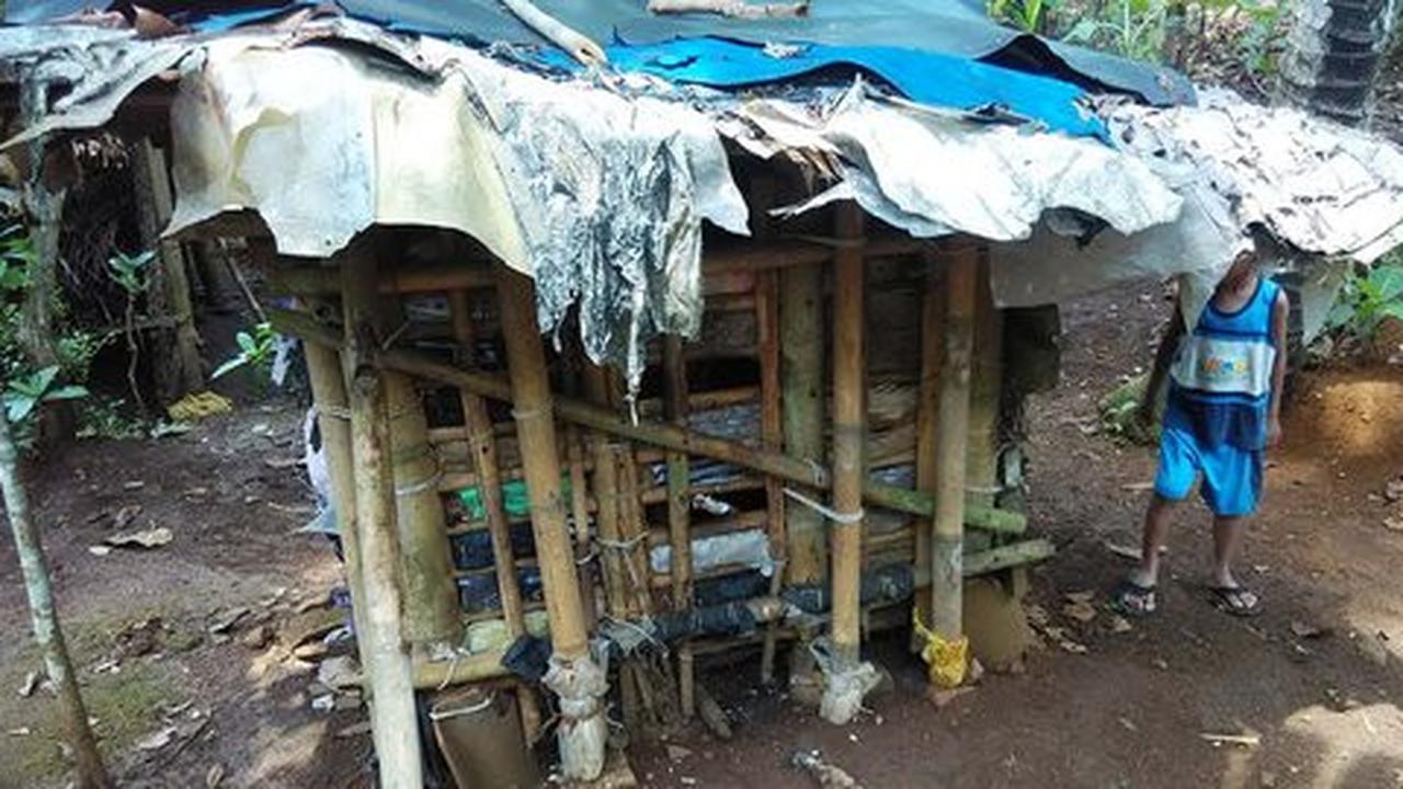 Kisah miris Dartam, gara-gara cinta membuatnya dipasung 24 tahun