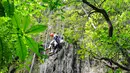 Begitu menuruni gua sedalam 80 meter, pengunjung akan disambut pemandangan menakjubkan: hutan purba yang tumbuh subur di dasar gua. Nuansa lembap, aroma tanah basah, dan sinar matahari yang menembus celah sempit di atas menciptakan suasana magis seolah berada di dunia lain. Di dalamnya, stalaktit dan stalagmit menghiasi dinding serta langit-langit gua, sementara aliran sungai bawah tanah menambah kesan mistis sekaligus menenangkan. Tampak dalam foto, wisatawan saat turun untuk masuk ke dalam Goa Jomblang  di Gunung Kidul, Yogyakarta. (merdeka.com/Arie Basuki)