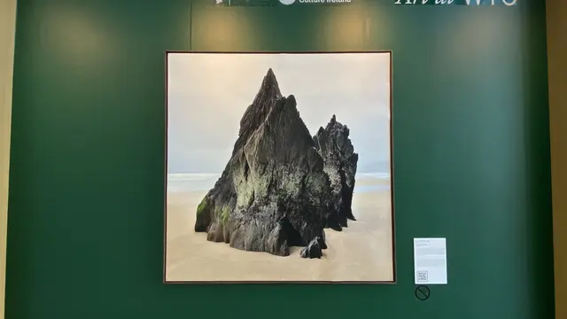 Karya Jan O’Connell. [Anisha/Fimela]