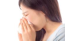 Hidung Meler karena Flu? Ini 4 Pengobatan Alami yang Bisa Anda Coba di Rumah