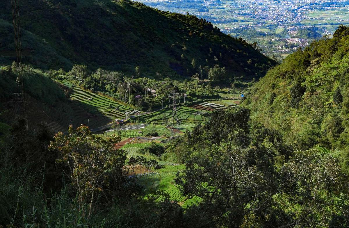 Indahnya Desa Wisata Sembungan yang dijuluku Swiss van Java