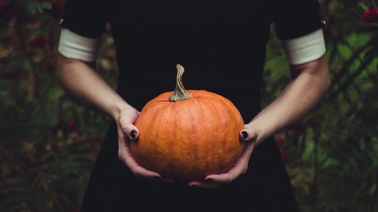 Labu, Si Oranye Terang yang Kaya Manfaat untuk Kesehatan (Photo by Pexels on Pixabay)