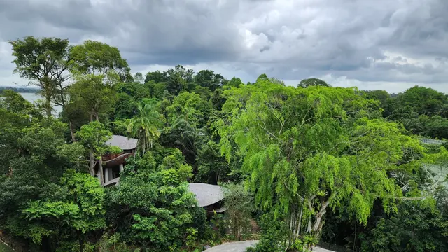 Ketika Resor Bertemu Alam, Banyan Tree Membawa Desain Berkelanjutan ke Singapura