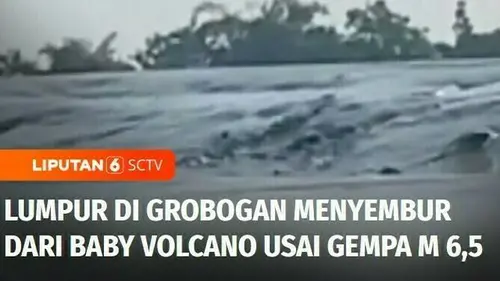 VIDEO: Lumpur di Grobogan Menyembur dari Baby Volcano Tepat Usai Gempa 6,5 Magnitudo
