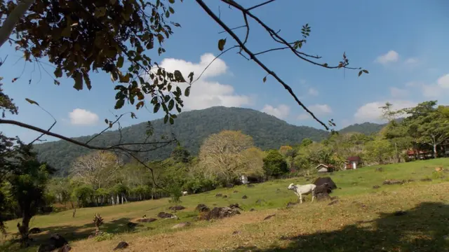 6 Fakta Menarik Gunung Cot Kulam di Aceh yang Dikenal Sebagai Pulau Weh ...