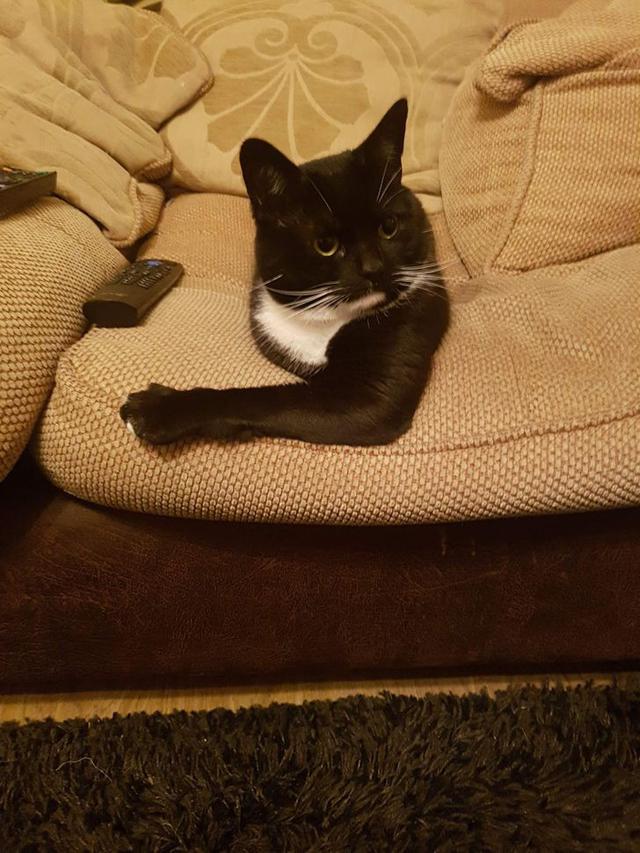 Bikin Mikir Dua Kali, 10 Potret Ini Buktikan Angle Bisa Menipu Mata