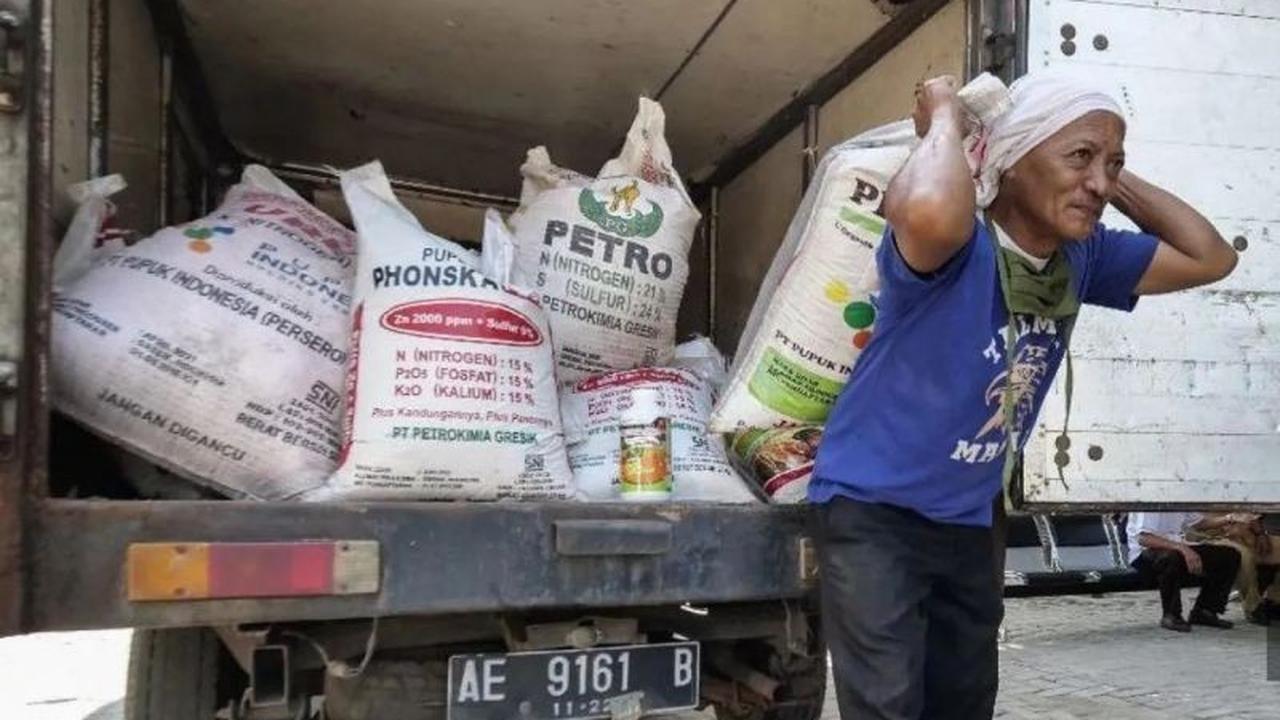 Trivia Pupuk: Serapan Pupuk Subsidi Kota Madiun Capai 65,68% Hingga Agustus 2025, Petani Madiun Siap Panen?