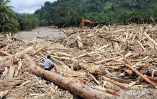 KLHK Selidiki Dugaan Keterkaitan Penyelidikan Pembalakan Liar di Balik Kayu Hanyut Banjir Sumatra