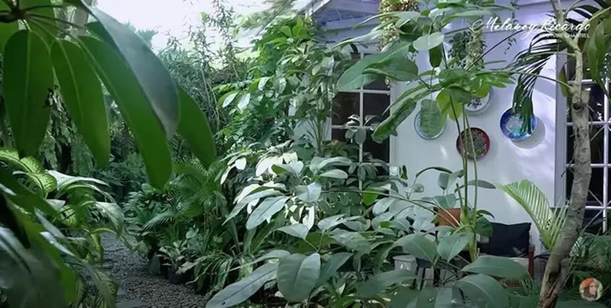 9 Potret Teras dan Taman di Rumah Yuni Shara, Nuansa Tropis yang Asri dan Estetik