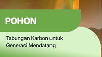 Pohon, Tabungan Karbon untuk Generasi Mendatang