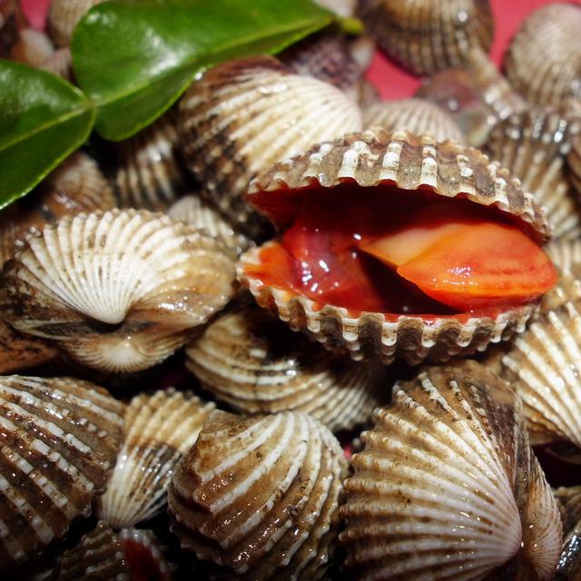 Kolesterol Tinggi Bisa Terjadi Setelah Santap 7 Makanan Ini Health Liputan6 Com