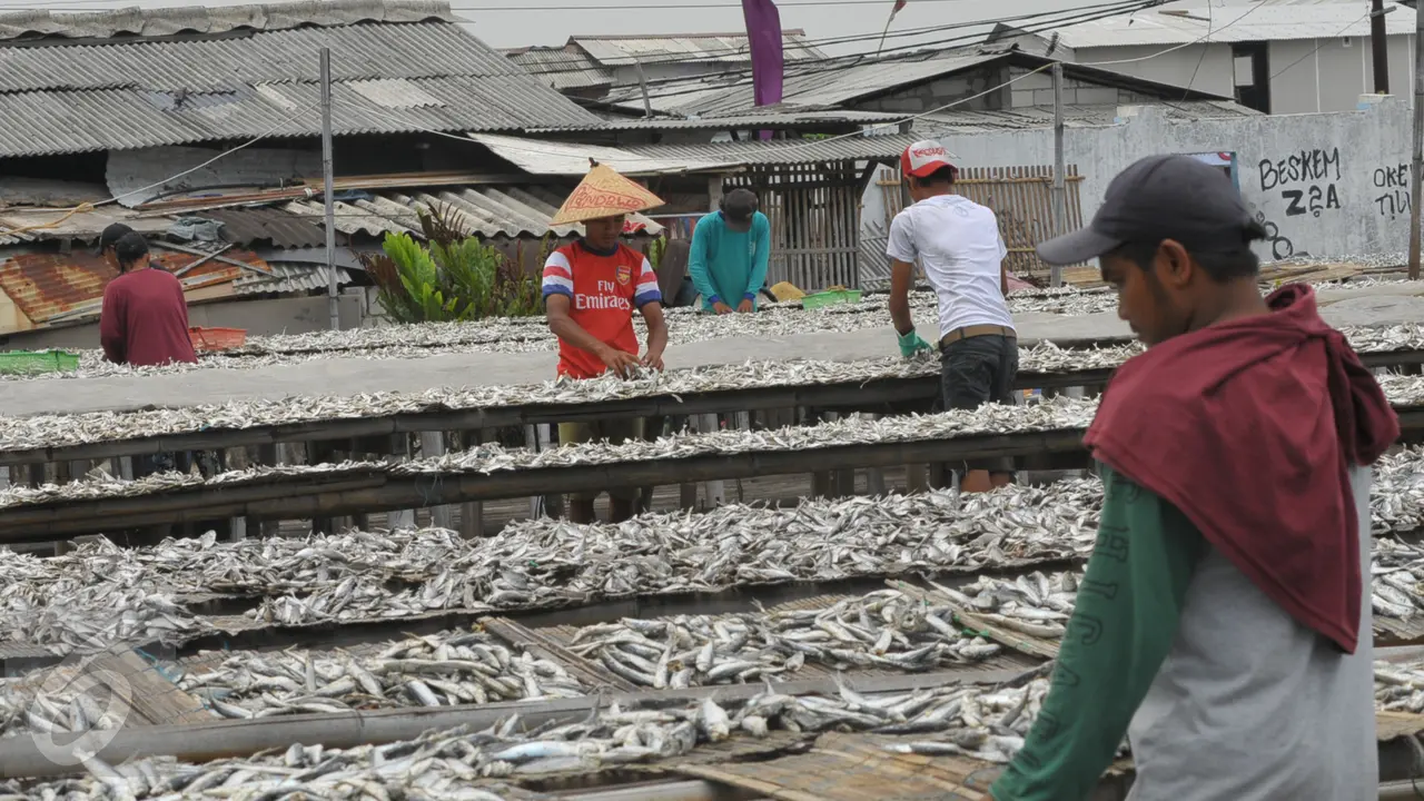 20160113-Sektor Perikanan Diprediksi Tumbuh 12 Persen-Jakarta