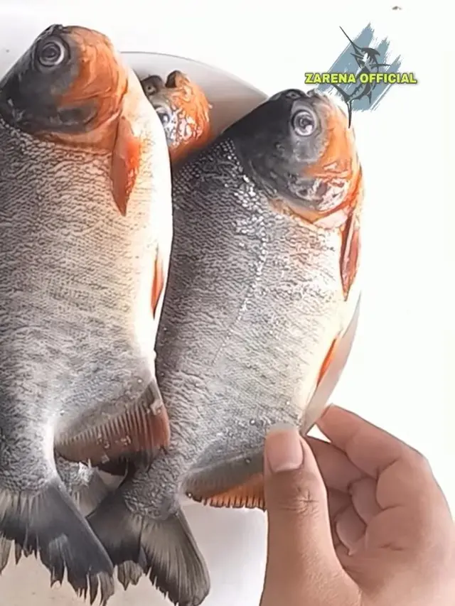 Hanya dengan Cucian Beras, Ini Cara Hilangkan Bau pada Ikan Bawal