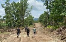 Kepala Desa di Inhu Jual Kawasan Hutan Bekas Tambang 150 Hektare Seharga Rp1,8 Miliar