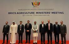 Indonesia Manfaatkan BRICS untuk Genjot Modernisasi Pertanian Nasional