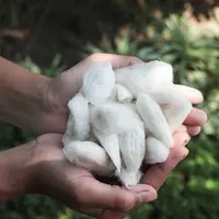 Bersama KaIND, TENCEL™️ Dukung Pemberdayaan Petani Sutra Eri di Jawa Timur  melalui BenihBaik.com. (Foto: dok  TENCEL™️)