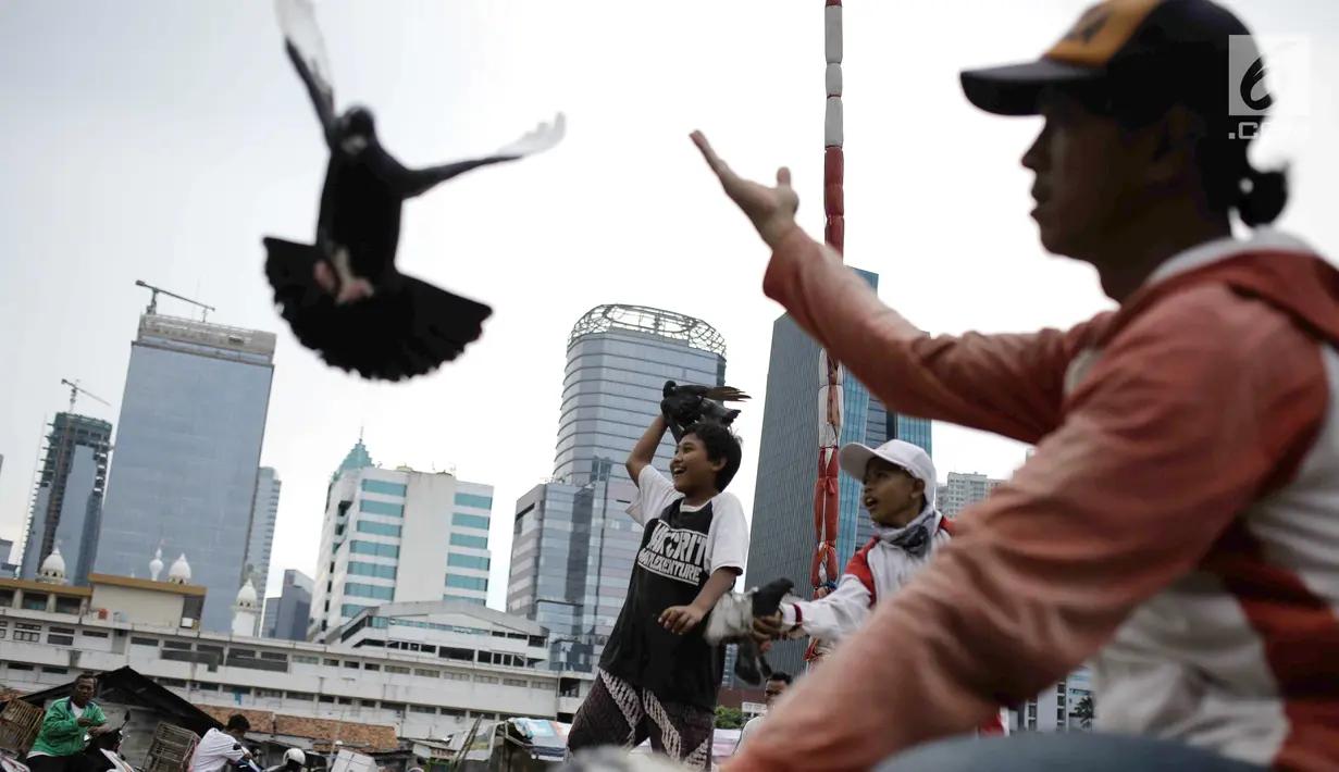 Warga melatih merpati kolongan di kawasan Menteng Pulo Jakarta, Minggu (4/3). Mereka memanfaatkan lahan kosong diantara gedung-gedung di ibukota Jakarta. (Liputan6.com/Faizal Fanani)