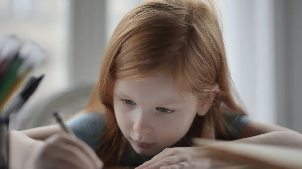 Pensil untuk Menggambar Ilustrasi adalah Berikut, Simak Jenis-jenisnya