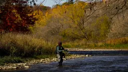 Seorang nelayan melemparkan pancingnya saat dia memancing ikan trout di Credit River di antara warna-warni musim gugur di Mississauga, Ontario, pada Kamis, 27 Oktober 2022. (Nathan Denette/The Canadian Press via AP)