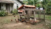 10 Tips Memelihara Ayam agar Tidak Mudah Terserang Penyakit, Banyak Peternak Belum Tahu