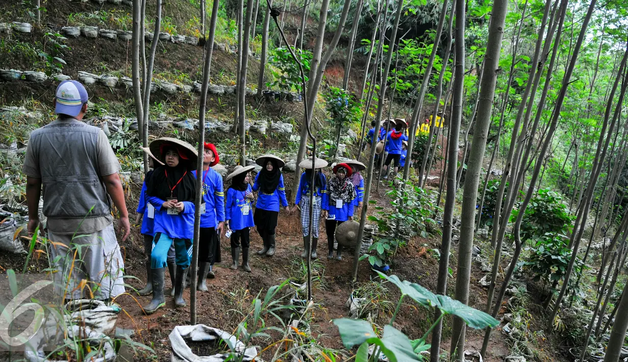 Peserta Campus Citizen Journalist Green Adventure Camp  menjelajahi hutan Sengon milik PT WIKA, Bogor, Selasa (31/5/2016). Liputan6.com gelar Green Camp bersama PT WIKA untuk Citizen Journalist. Liputan6.com/Yoppy Renato)