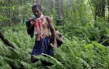 Seorang diri, pria India ini hijaukan kembali 550 hektare hutan