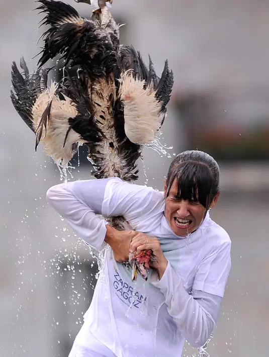 Ekspresi peserta saat mengikuti perayaan "Antzar Eguna" (Hari Angsa) di pelabuhan desa Basque Lekeitio, Spanyol (5/9). Peserta yang paling lama bergelayutan pada angsa adalah pemenangnya.  (AFP/Ander Gillenea)