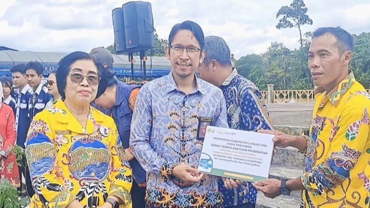 Fakta Unik Wakil Bupati Perempuan Pertama Gumas Salurkan Bantuan Alat Pascapanen Petani Gumas, Cegah Kerugian Hasil Panen!