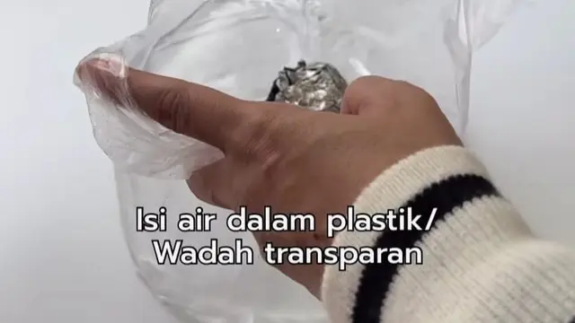 Tak Perlu Obat Serangga, Begini Trik Sederhana Cegah Lalat Masuk Rumah Pakai 1 Alat Dapur