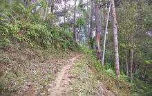 Melihat Keseharian Para Lansia di Kampung Terpencil Tengah Hutan Banyumas, Hidup Serba Sulit