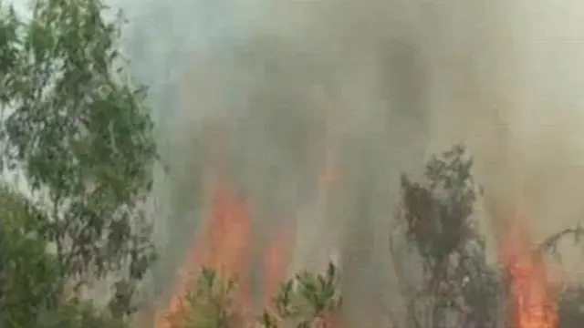 [VIDEO] Riau Darurat Bencana Kabut Asap