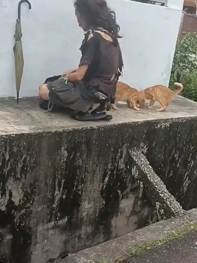 Bikin Salut, Pria Berpakaian Lusuh Ini Berikan Makanan ke Kucing Liar