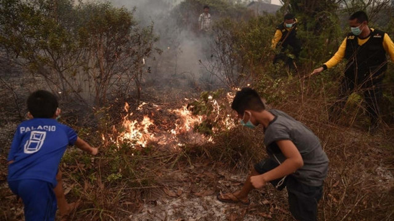 Perjuangan warga padamkan kebakaran hutan dengan alat seadanya