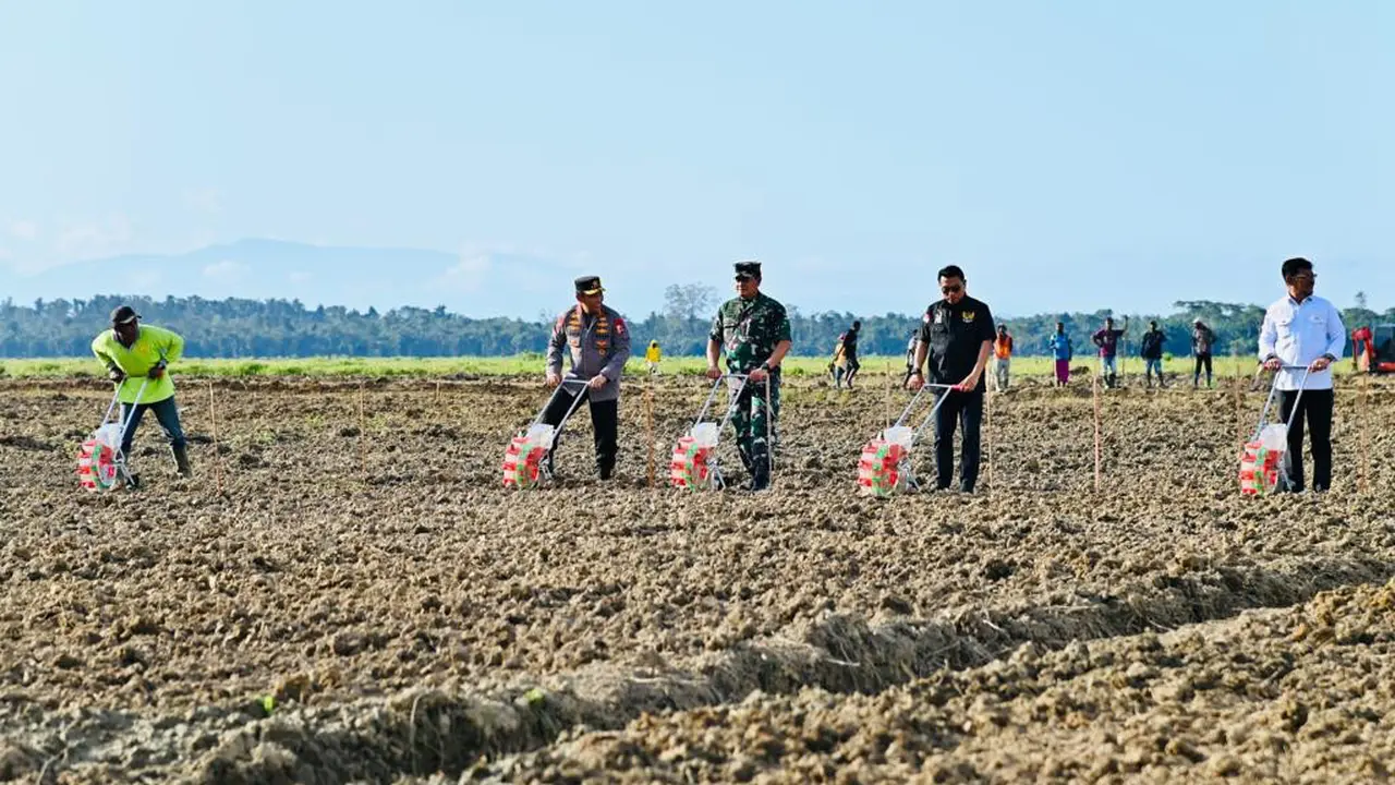 Ada beberapa pihak yang menyebut jika program food estate milik Presiden Joko Widodo (Jokowi) gagal. Lumbung Pangan Nasional atau food estate sendiri memang merupakan program pemerintahan Jokowi.