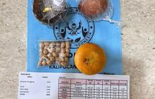 Satgas Wajibkan Label Gizi MBG Jepara, Dorong Transparansi Program Makan Bergizi Gratis