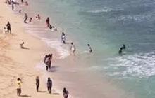 Harus Waspada, Ini Bahaya Fenomena "Arus Balik" di Pantai Sepanjang Gunungkidul