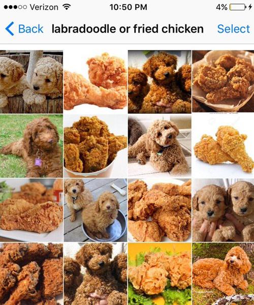 copyright by @teenybiscuit