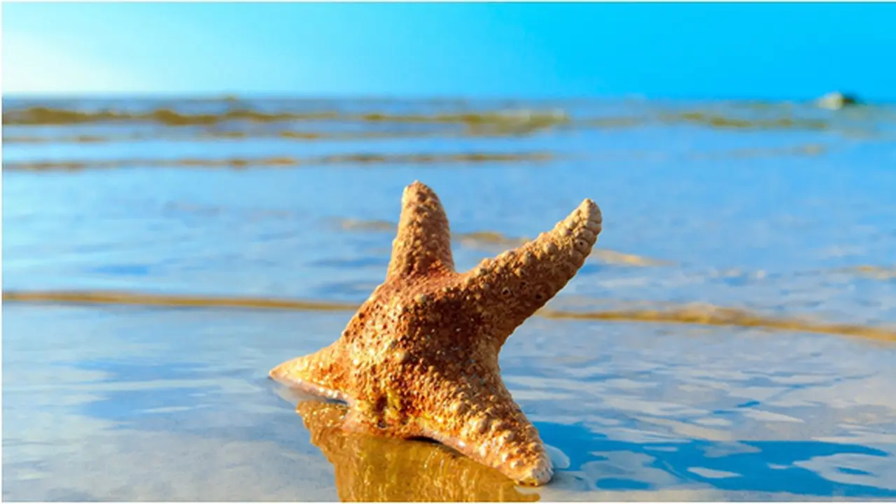 Courtesy ShutterStock.com