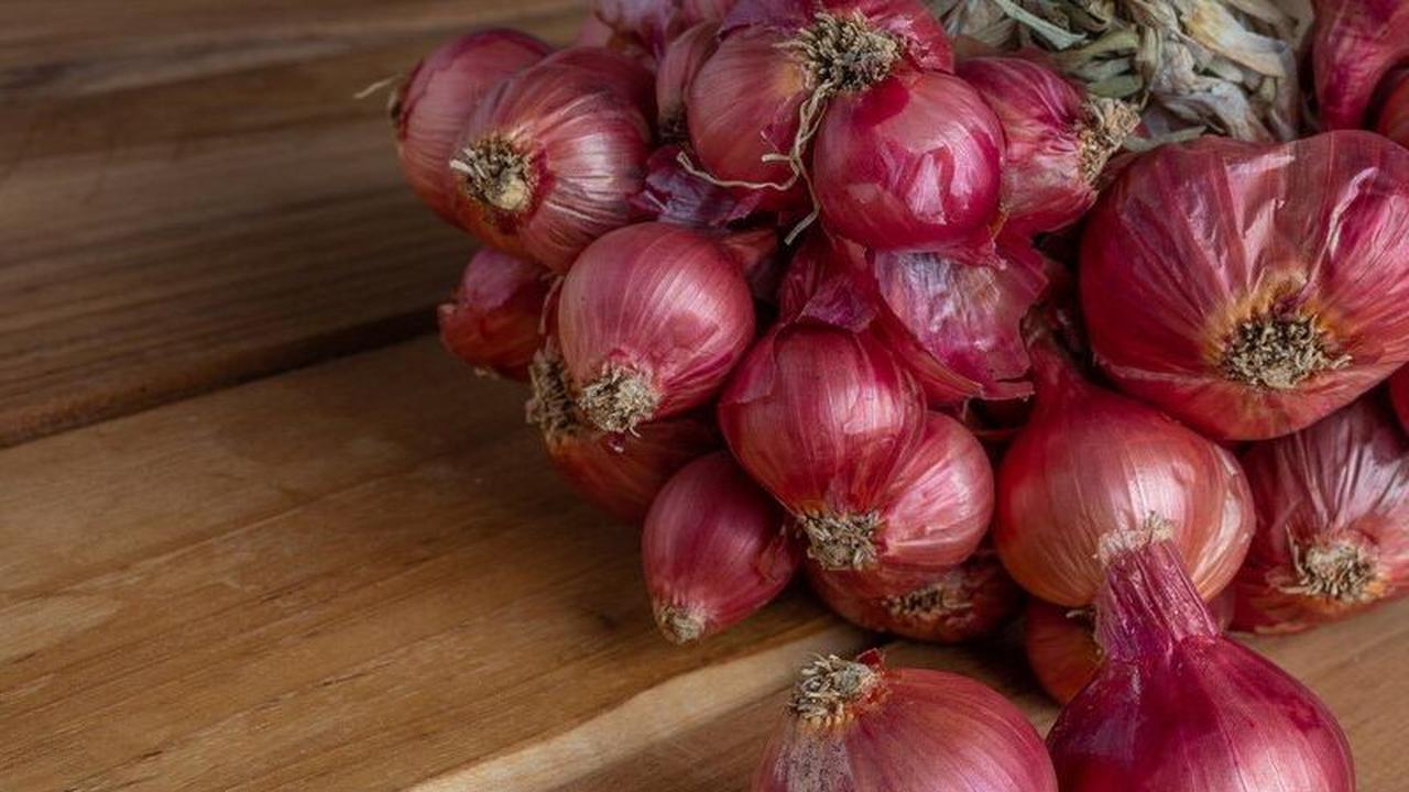 Jawa Timur dikenal sebagai salah satu penghasil bawang merah kualitas unggulan di Indonesia. Tiga daerah penghasil bawang merah terbaik yakni Nganjuk, Probolinggo, dan Madiun.